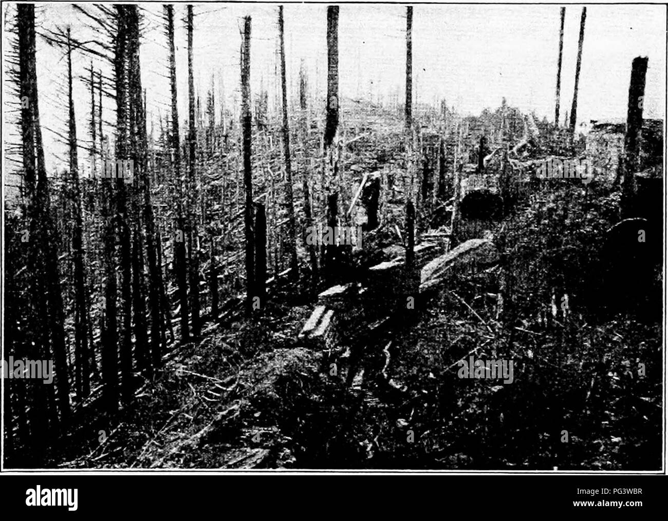 Manque De Salive En 7 Lettres L'angleterre périssent Banque d'images noir et blanc - Alamy