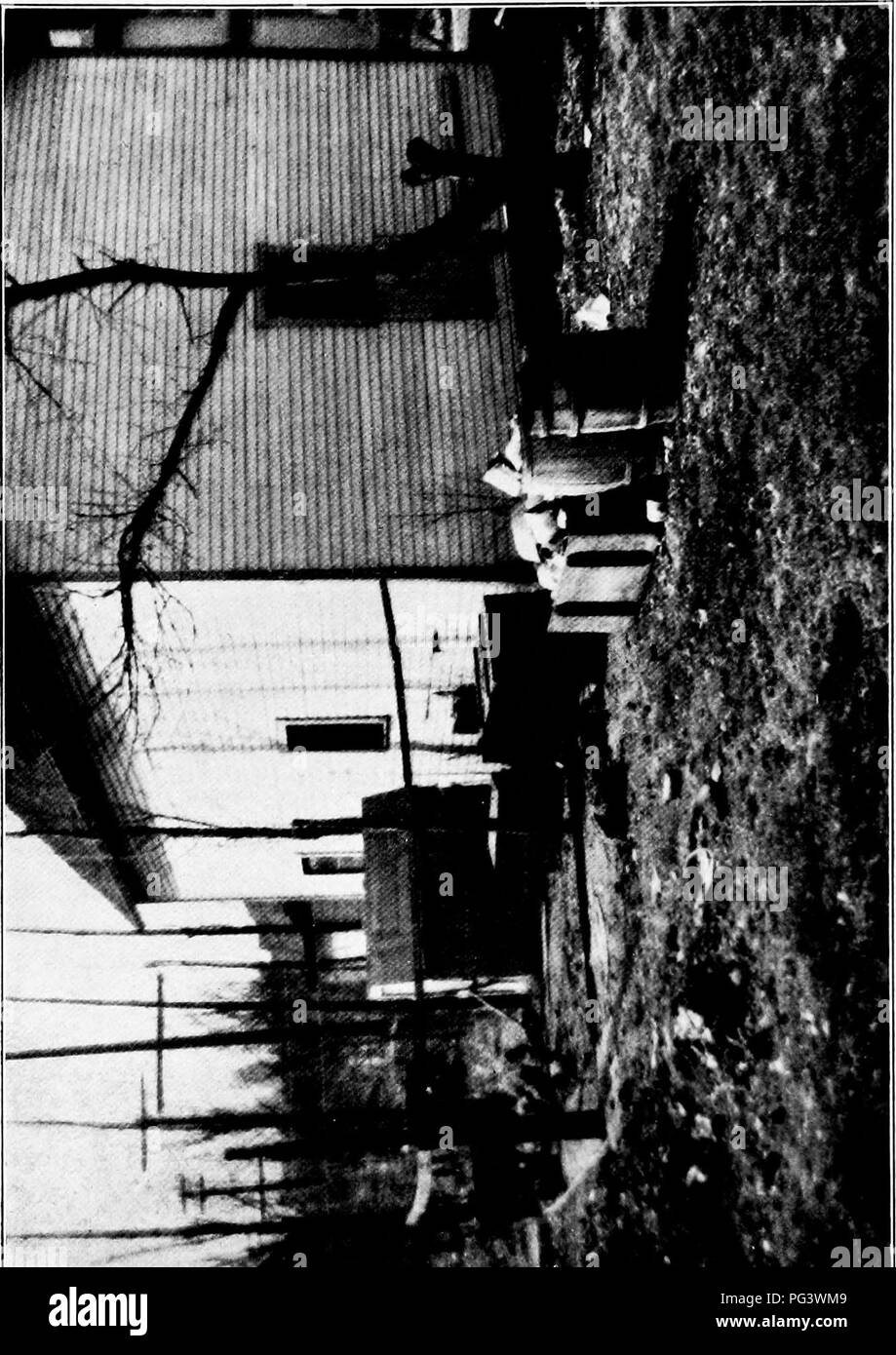 Ce livre se concentre sur les principes et les techniques du jardinage paysager, offrant des conseils sur la conception des jardins, la sélection des plantes et les aspects esthétiques des espaces extérieurs. Il met en évidence la relation entre le design et l’environnement dans la création de paysages fonctionnels et magnifiques. Banque D'Images