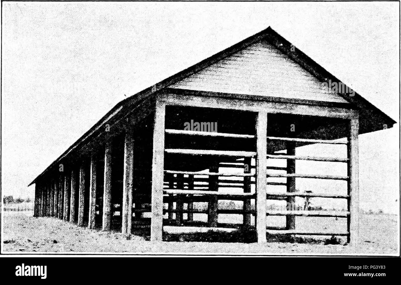 . La multiplication des plantes : les serres et les pépinières la pratique . La multiplication des plantes. i8 I'LAM' rk01'Un&Lt ; ;.ti()i ]'.. Le iiiiporlaiit factdib dctcnnini plus que la vitalité ; nia- tiirity arc récolte, eoiiditiuiis météo ami des moyens de la récolte et cnring. C. Des graines immatures peu après mûrissement généralement de germer, mais s'il est stocké perdre rapidement vitalité bien ; les graines récoltées à maturité sous conditions faorable devrait garder longtemps. D. Les graines récoltées par temps humide ont moins de vitalité que ceux récoltés par temps sec. E. Seeds une fois blessé jamais retrouvé sa vigueur. F. alors que guérir adéquat est de la plus haute importance Banque D'Images