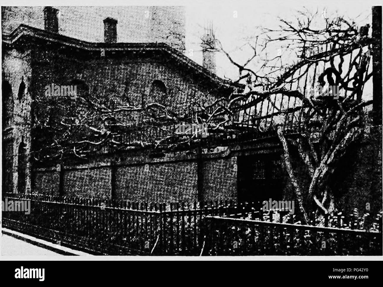 Ce manuel fournit des conseils sur la culture de diverses vignes, y compris les plantes grimpantes utilisées à des fins ornementales et fonctionnelles. Il met en évidence des plantes comme Boston Ivy et Wistaria, qui prospèrent dans les milieux urbains et ruraux, démontrant la polyvalence et l'adaptabilité de ces plantes dans divers environnements. Banque D'Images