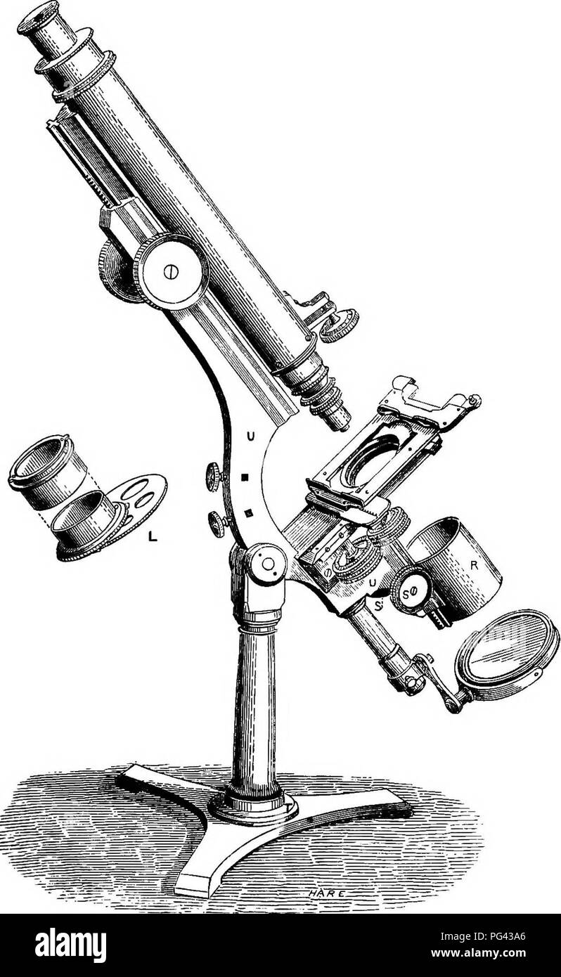. Un traité pratique sur l'utilisation du microscope, y compris les différentes méthodes de préparation et d'examen animales, végétales, minérales et des structures. Microscopie Microscopes ;. Quekett sur le microscope. PI. 12. Mm. SMITH &AMP ; BECK'S IMPROVED PETITS MICROSCOPE. achromatique. Veuillez noter que ces images sont extraites de la page numérisée des images qui peuvent avoir été retouchées numériquement pour plus de lisibilité - coloration et l'aspect de ces illustrations ne peut pas parfaitement ressembler à l'œuvre originale.. Quekett, John, 1815-1861. Londres, H. Bailliere ; [etc. , Etc. ] Banque D'Images