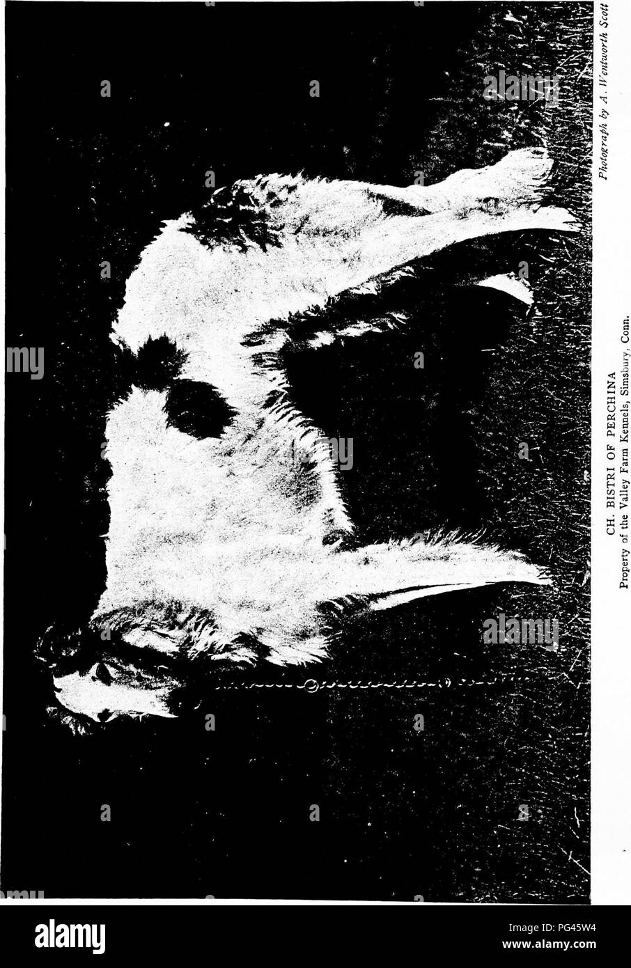 Ce livre de James Watson fournit un aperçu approfondi de l'histoire, des soins et de la gestion des chiens, y compris des descriptions détaillées des races de chiens populaires. Il offre également des informations pratiques sur le soin des chiens, la formation, et les rôles que les chiens ont joué dans la société humaine à travers l'histoire. Banque D'Images