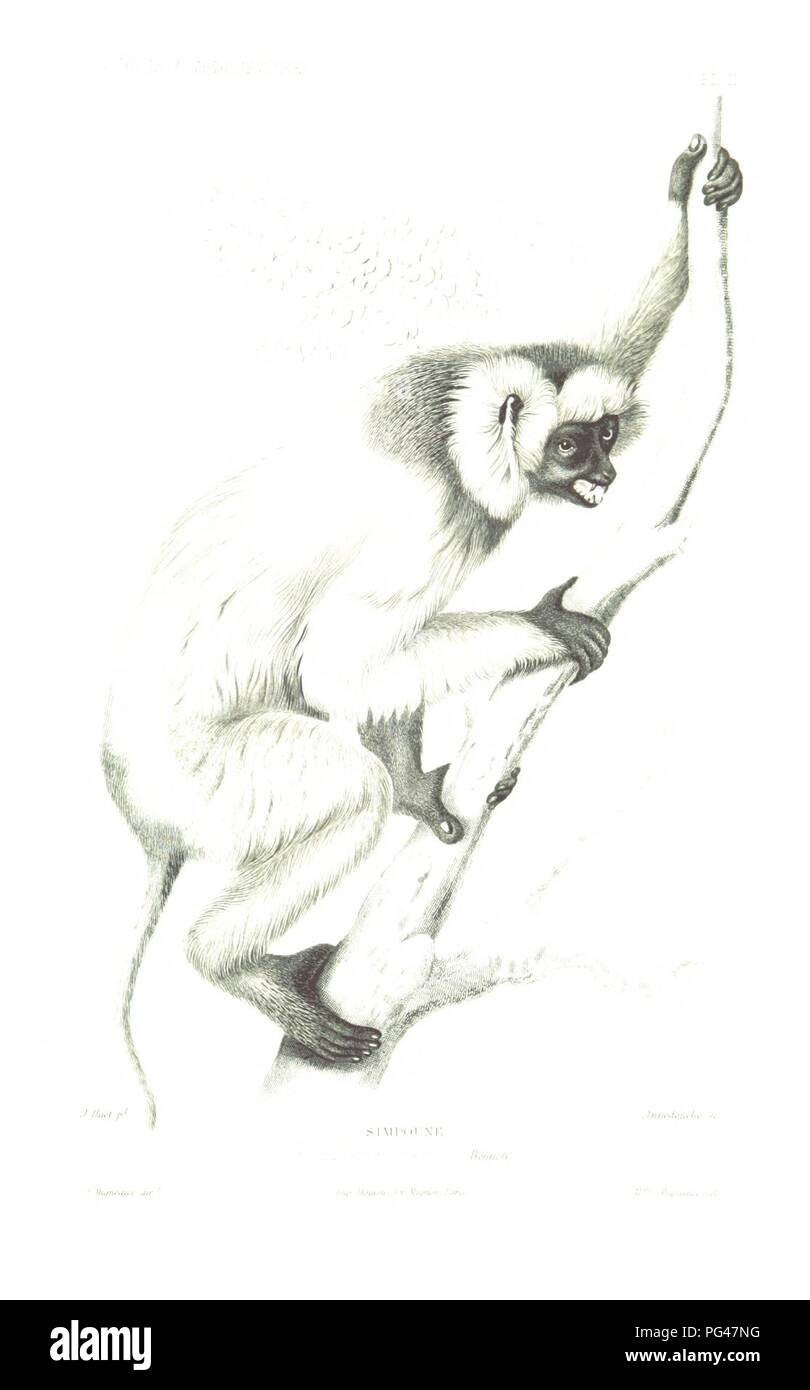 Libre à partir de la page 663 de "Voyage à Madagascar au couronnement de Radama II' . Banque D'Images