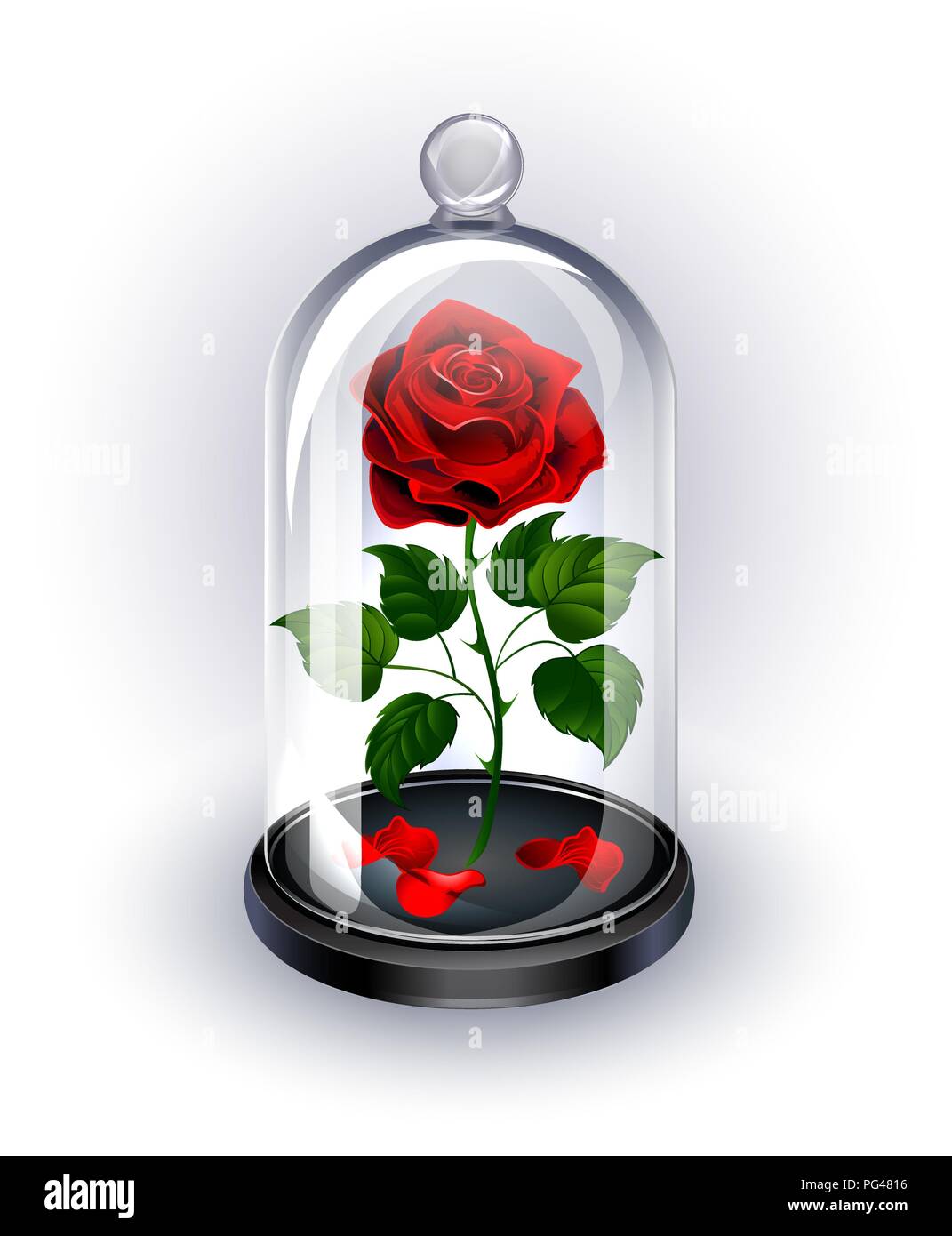 Rouge, rose éternelle sous Dôme en cristal étincelants sur fond blanc. Illustration de Vecteur