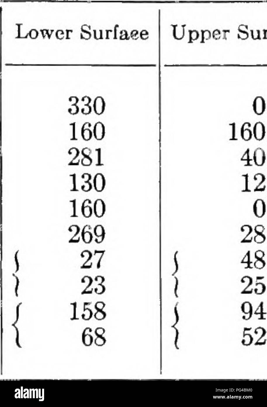 L'image illustre la structure cellulaire des feuilles, en mettant l'accent sur le nombre et la distribution des stomates par millimètre carré à la surface des feuilles. Il comprend diverses espèces végétales telles que le lilas, la luzerne, le haricot, la tomate, la citrouille de cerise, avoine et maïs. Les stomates sont essentiels pour l'échange gazeux dans les plantes et se trouvent sur les surfaces des tissus verts comme les feuilles, les fruits et les tiges. Banque D'Images