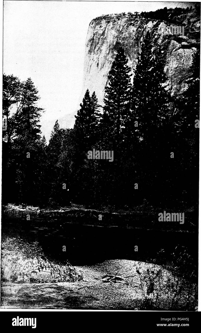 . La forêt et l'eau . L'approvisionnement en eau potable ; les forêts et la foresterie ; l'approvisionnement en eau potable ; les forêts et la foresterie. El Capitan, jeunes pousses d'arbres protégés iti Etat dans le Yosémite.. Veuillez noter que ces images sont extraites de la page numérisée des images qui peuvent avoir été retouchées numériquement pour plus de lisibilité - coloration et l'aspect de ces illustrations ne peut pas parfaitement ressembler à l'œuvre originale.. Kinney, abbé, 1850-1920. Los Angeles : Poster Pub. Co. Banque D'Images . La forêt et l'eau . L'approvisionnement en eau potable ; les forêts et la foresterie ; l'approvisionnement en eau potable ; les forêts et la foresterie. El Capitan, jeunes pousses d'arbres protégés iti Etat dans le Yosémite.. Veuillez noter que ces images sont extraites de la page numérisée des images qui peuvent avoir été retouchées numériquement pour plus de lisibilité - coloration et l'aspect de ces illustrations ne peut pas parfaitement ressembler à l'œuvre originale.. Kinney, abbé, 1850-1920. Los Angeles : Poster Pub. Co. Banque D'Images