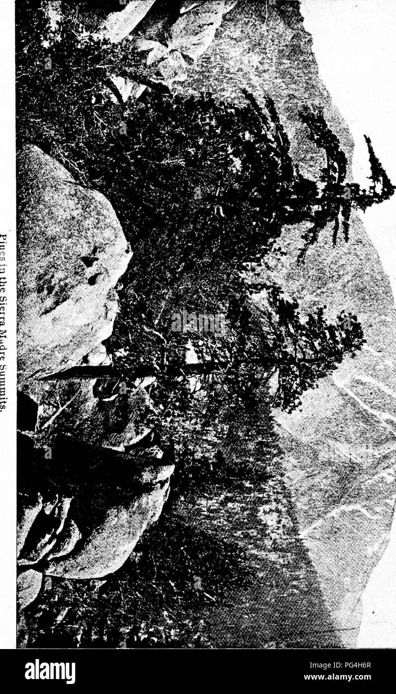 . La forêt et l'eau . L'approvisionnement en eau potable ; les forêts et la foresterie ; l'approvisionnement en eau potable ; les forêts et la foresterie. . Veuillez noter que ces images sont extraites de la page numérisée des images qui peuvent avoir été retouchées numériquement pour plus de lisibilité - coloration et l'aspect de ces illustrations ne peut pas parfaitement ressembler à l'œuvre originale.. Kinney, abbé, 1850-1920. Los Angeles : Poster Pub. Co. Banque D'Images . La forêt et l'eau . L'approvisionnement en eau potable ; les forêts et la foresterie ; l'approvisionnement en eau potable ; les forêts et la foresterie. . Veuillez noter que ces images sont extraites de la page numérisée des images qui peuvent avoir été retouchées numériquement pour plus de lisibilité - coloration et l'aspect de ces illustrations ne peut pas parfaitement ressembler à l'œuvre originale.. Kinney, abbé, 1850-1920. Los Angeles : Poster Pub. Co. Banque D'Images