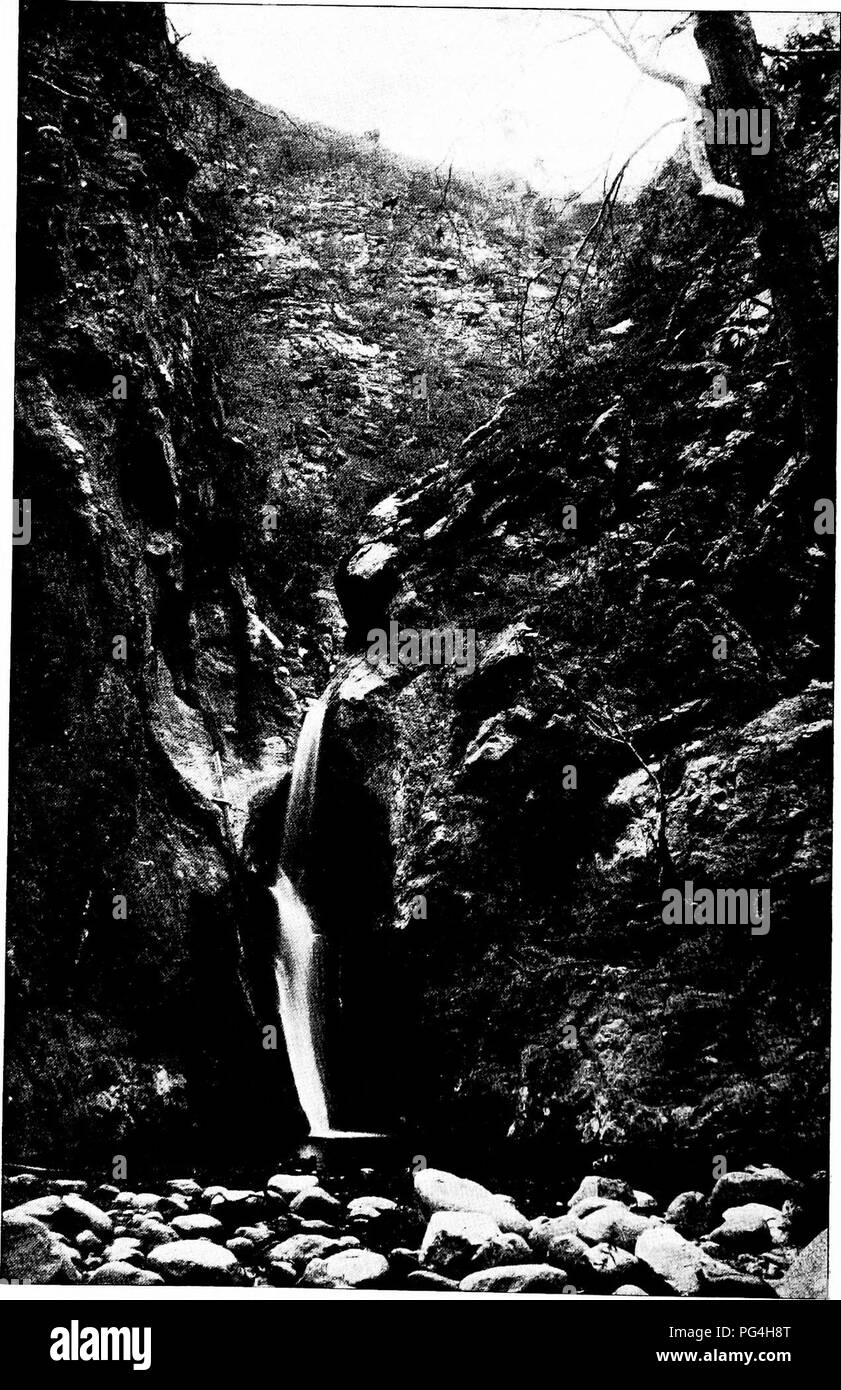 Ce travail examine le rôle des forêts dans l'approvisionnement en eau, en se concentrant sur le canyon Precipice et les cours d'irrigation de la Sierra Madr. Il met en évidence comment la foresterie influence la gestion de l’eau dans ces régions, avec des illustrations de l’Abbot Kinney. Banque D'Images Ce travail examine le rôle des forêts dans l'approvisionnement en eau, en se concentrant sur le canyon Precipice et les cours d'irrigation de la Sierra Madr. Il met en évidence comment la foresterie influence la gestion de l’eau dans ces régions, avec des illustrations de l’Abbot Kinney. Banque D'Images