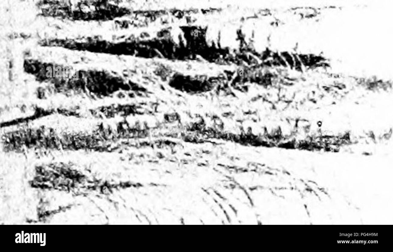 . La forêt et l'eau . L'approvisionnement en eau potable ; les forêts et la foresterie ; l'approvisionnement en eau potable ; les forêts et la foresterie.  %-^^fmi*. Â -Â^tt * ?'J# -'*^   -j.. Veuillez noter que ces images sont extraites de la page numérisée des images qui peuvent avoir été retouchées numériquement pour plus de lisibilité - coloration et l'aspect de ces illustrations ne peut pas parfaitement ressembler à l'œuvre originale.. Kinney, abbé, 1850-1920. Los Angeles : Poster Pub. Co. Banque D'Images . La forêt et l'eau . L'approvisionnement en eau potable ; les forêts et la foresterie ; l'approvisionnement en eau potable ; les forêts et la foresterie.  %-^^fmi*. Â -Â^tt * ?'J# -'*^   -j.. Veuillez noter que ces images sont extraites de la page numérisée des images qui peuvent avoir été retouchées numériquement pour plus de lisibilité - coloration et l'aspect de ces illustrations ne peut pas parfaitement ressembler à l'œuvre originale.. Kinney, abbé, 1850-1920. Los Angeles : Poster Pub. Co. Banque D'Images