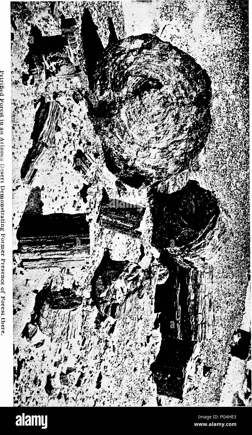 . La forêt et l'eau . L'approvisionnement en eau potable ; les forêts et la foresterie ; l'approvisionnement en eau potable ; les forêts et la foresterie. . Veuillez noter que ces images sont extraites de la page numérisée des images qui peuvent avoir été retouchées numériquement pour plus de lisibilité - coloration et l'aspect de ces illustrations ne peut pas parfaitement ressembler à l'œuvre originale.. Kinney, abbé, 1850-1920. Los Angeles : Poster Pub. Co. Banque D'Images . La forêt et l'eau . L'approvisionnement en eau potable ; les forêts et la foresterie ; l'approvisionnement en eau potable ; les forêts et la foresterie. . Veuillez noter que ces images sont extraites de la page numérisée des images qui peuvent avoir été retouchées numériquement pour plus de lisibilité - coloration et l'aspect de ces illustrations ne peut pas parfaitement ressembler à l'œuvre originale.. Kinney, abbé, 1850-1920. Los Angeles : Poster Pub. Co. Banque D'Images