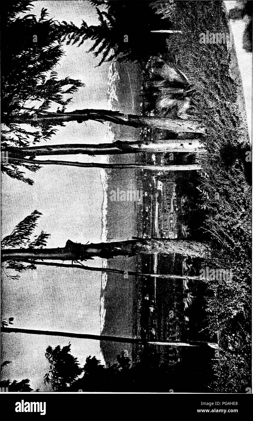 . La forêt et l'eau . L'approvisionnement en eau potable ; les forêts et la foresterie ; l'approvisionnement en eau potable ; les forêts et la foresterie. . Veuillez noter que ces images sont extraites de la page numérisée des images qui peuvent avoir été retouchées numériquement pour plus de lisibilité - coloration et l'aspect de ces illustrations ne peut pas parfaitement ressembler à l'œuvre originale.. Kinney, abbé, 1850-1920. Los Angeles : Poster Pub. Co. Banque D'Images . La forêt et l'eau . L'approvisionnement en eau potable ; les forêts et la foresterie ; l'approvisionnement en eau potable ; les forêts et la foresterie. . Veuillez noter que ces images sont extraites de la page numérisée des images qui peuvent avoir été retouchées numériquement pour plus de lisibilité - coloration et l'aspect de ces illustrations ne peut pas parfaitement ressembler à l'œuvre originale.. Kinney, abbé, 1850-1920. Los Angeles : Poster Pub. Co. Banque D'Images