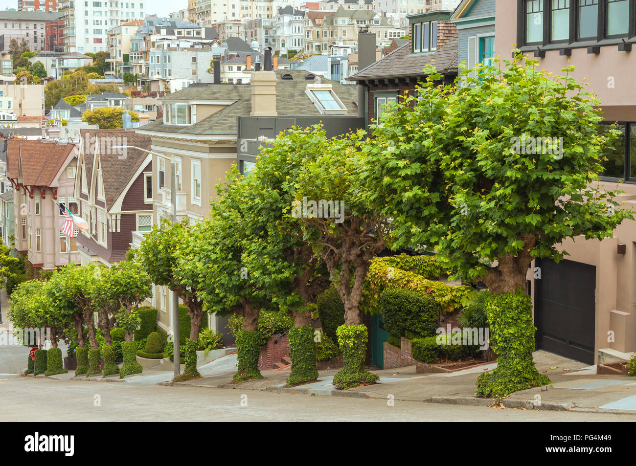Londres platanes et de l'esthétique à domicile à San Francisco, Californie Banque D'Images