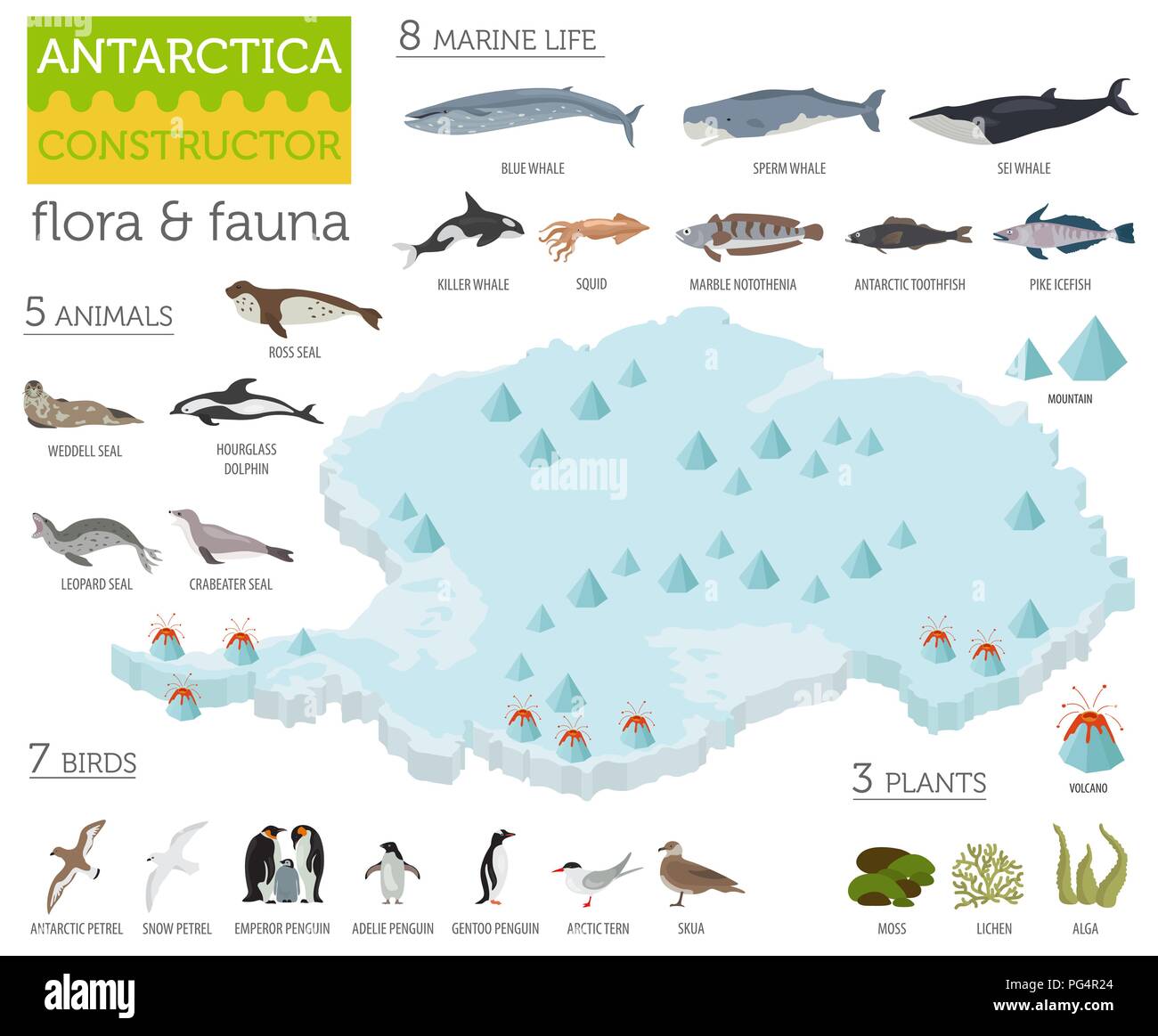 3D isométrique de la flore et de la faune antarctique site éléments. Les animaux, les oiseaux et la vie marine. Construire votre propre collection Géographie des infographies. Vector illustrati Illustration de Vecteur