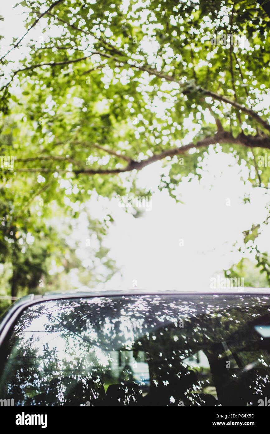 Toit d'une voiture avec la plupart du temps le ciel et les arbres, montrant beaucoup de bokeh, voiture bleue, vert des arbres et des branches, d'un bleu brillant, toit de voiture Banque D'Images