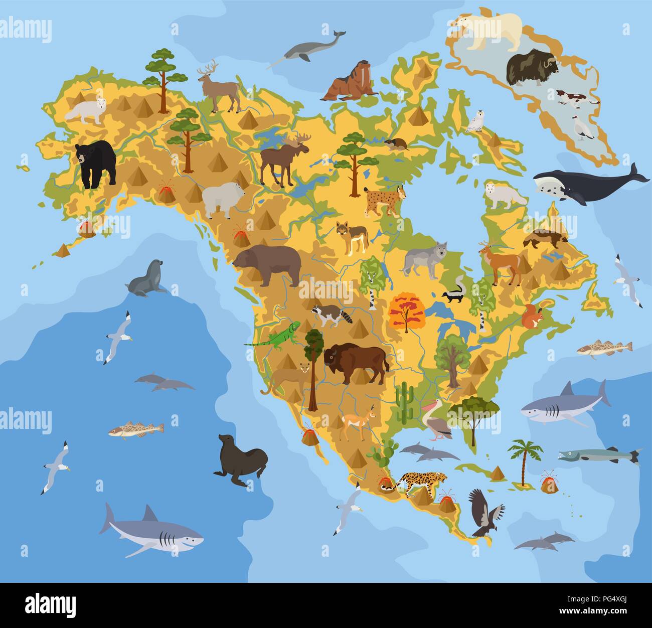 Amérique du Nord Carte de la flore et de la faune, les éléments à plat. Les animaux, les oiseaux et la vie marine big set. Construire votre géographie des infographies collection. Vector illustrati Illustration de Vecteur