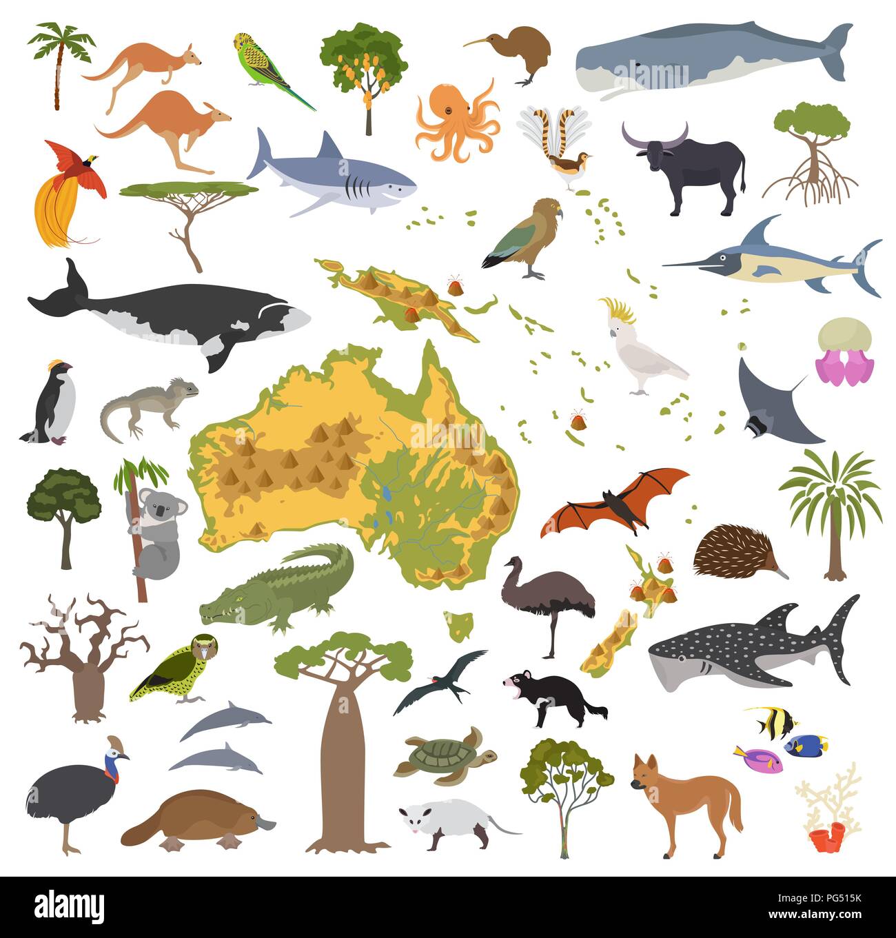 L'Australie et Océanie carte de la flore et de la faune, les éléments à plat. Les animaux, les oiseaux et la vie marine big set. Construire votre géographie des infographies collection. Il vecteur Illustration de Vecteur