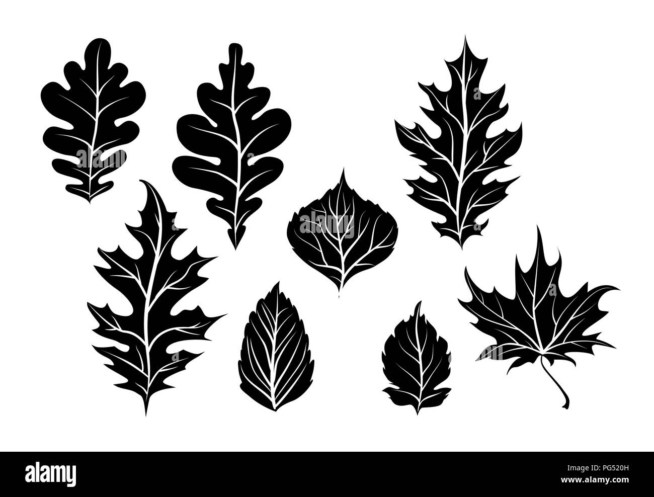 Silhouette laisse la nature Illustration de Vecteur