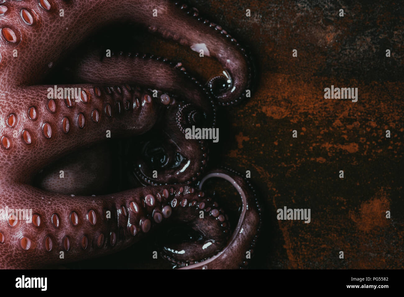 Vue de dessus de grandes tentacules de pieuvre sur la surface de métal rouillé Banque D'Images