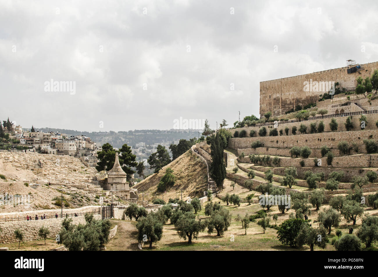 Le mont des Oliviers à Jérusalem, Israël Banque D'Images