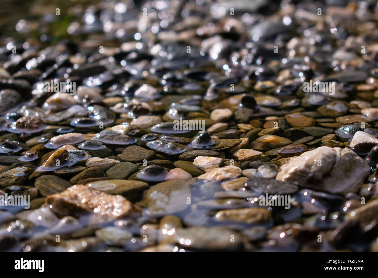 Cailloux dans l'eau après une courte pluie d'été dans l'après-midi, Predeal, Roumanie Banque D'Images