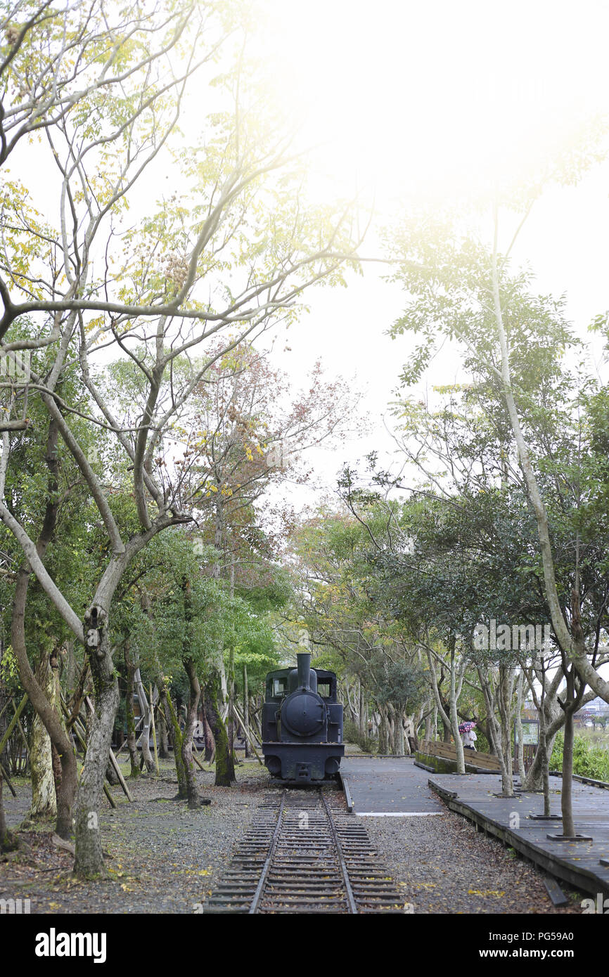 La forêt de montagne Taiping Banque D'Images