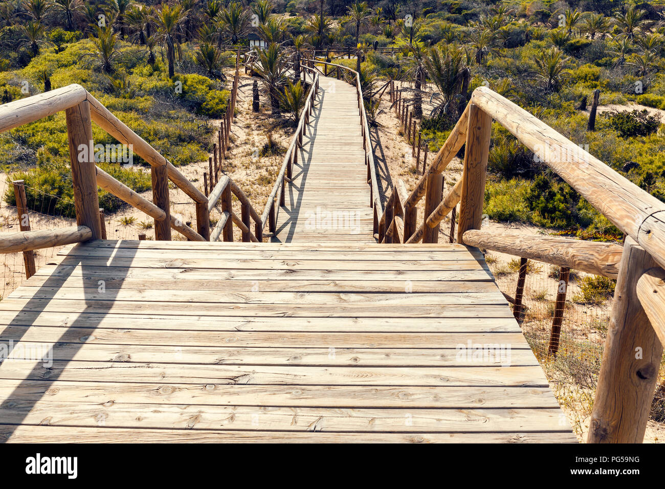 Escalier en bois vers le bas pour le parc à travers les dunes à Guardamar del Segura, Alicante. Espagne Banque D'Images