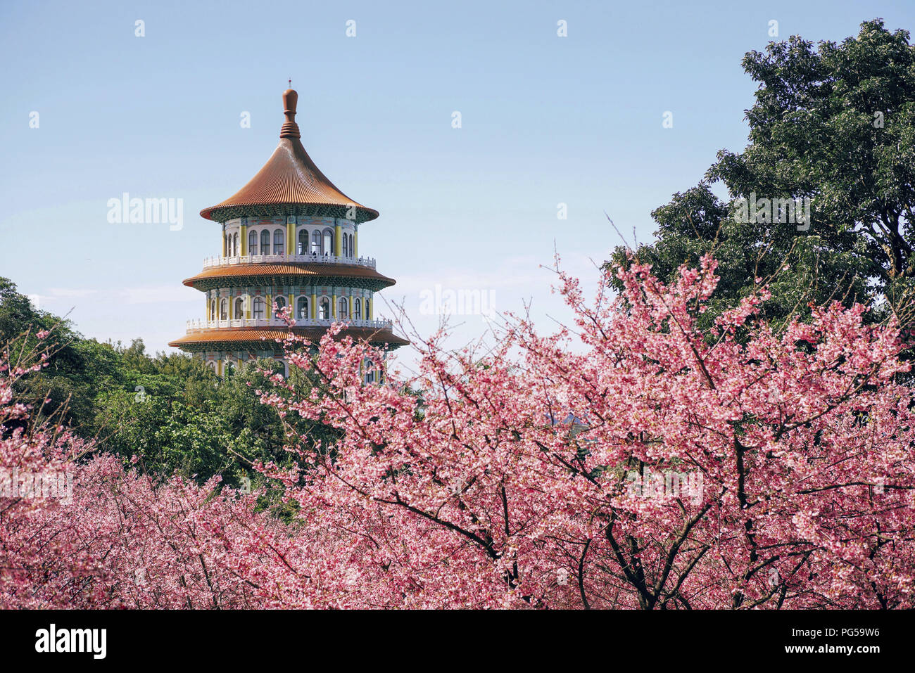 Beauté de Taiwan Banque D'Images