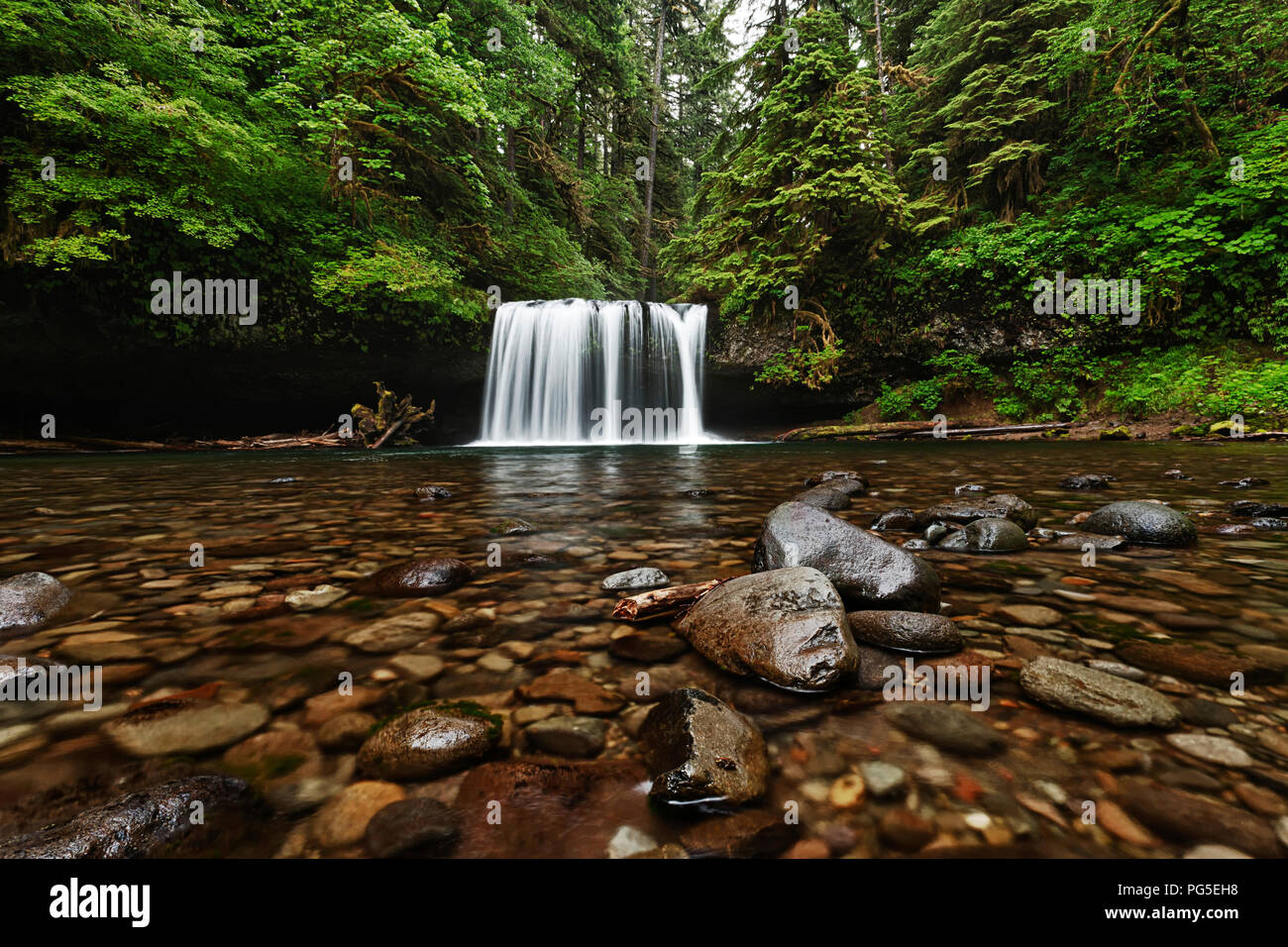 La Butte Creek Falls dans l'Oregon Banque D'Images