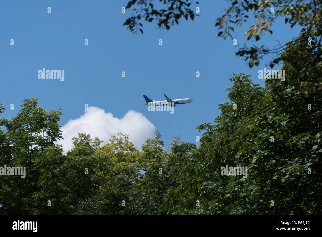 Transporteur aérien commercial passenger jet de haut vol dans le ciel au-dessus des arbres du parc juste après le décollage de l'aéroport. Temps clair et ciel bleu pour faire Banque D'Images