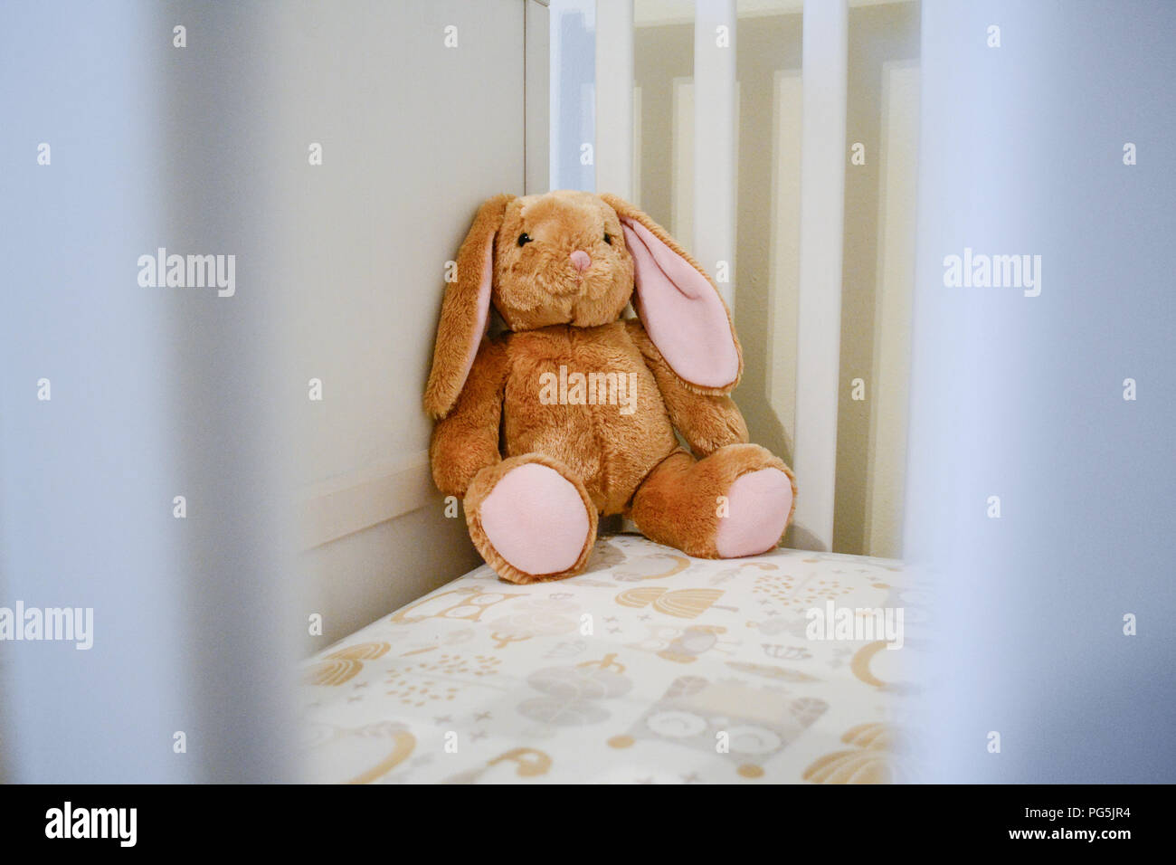 La huche de bébé fille. Des couleurs neutres. Owl drap de lit. SUNDVIK Ikea lit blanc. Convertible en lit bébé. Animal en peluche de Build-A-Bear Workshop. Banque D'Images