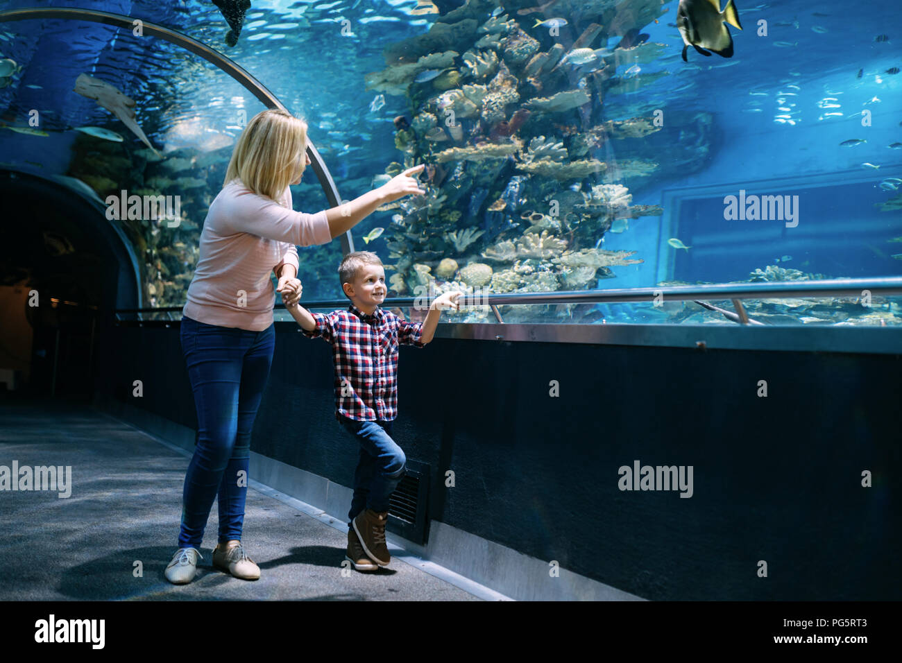 La mère et le fils de regarder la vie dans la mer oceanarium Banque D'Images
