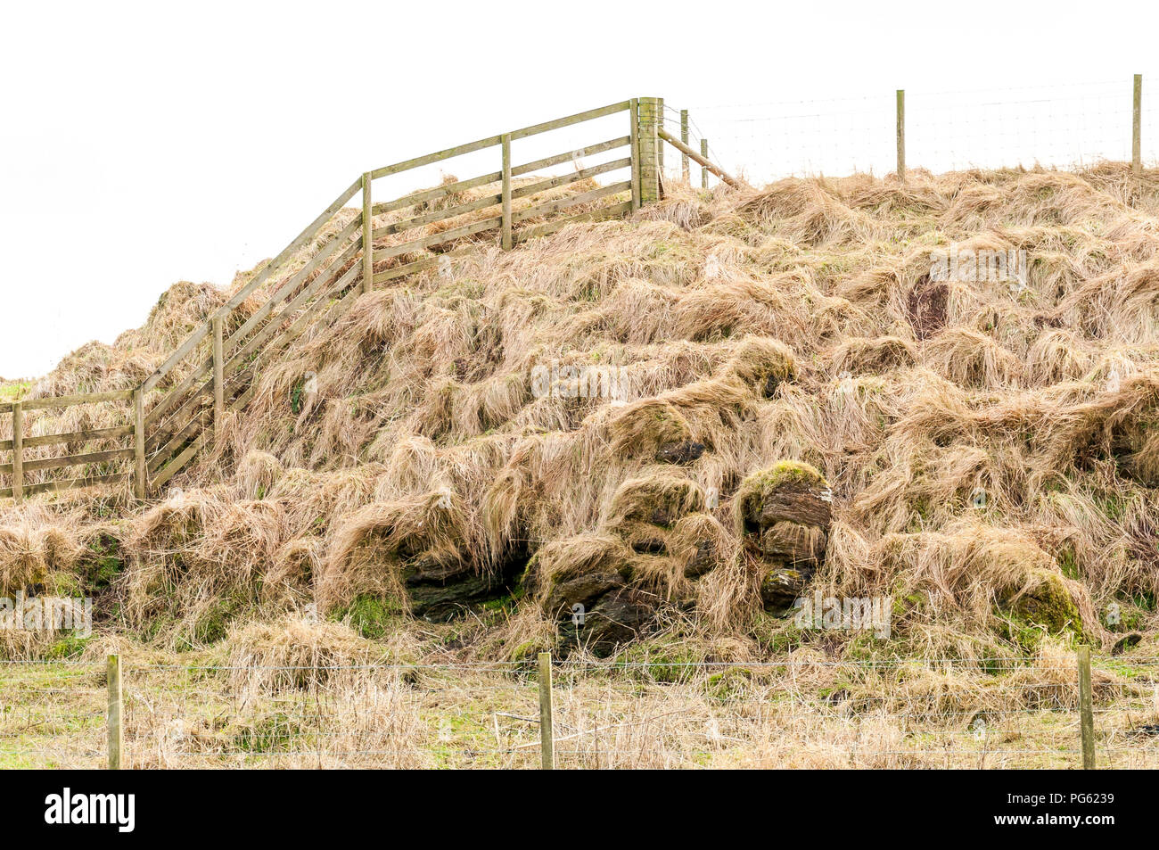 Des piles de touffes d'herbe en bas d'une colline en hiver avec des barrières en bois à proximité Banque D'Images