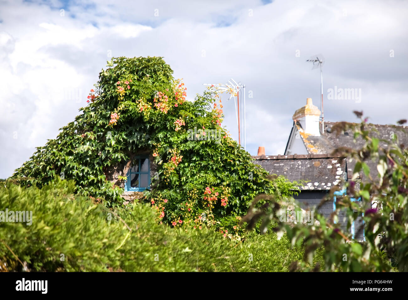 Maison verte Banque D'Images
