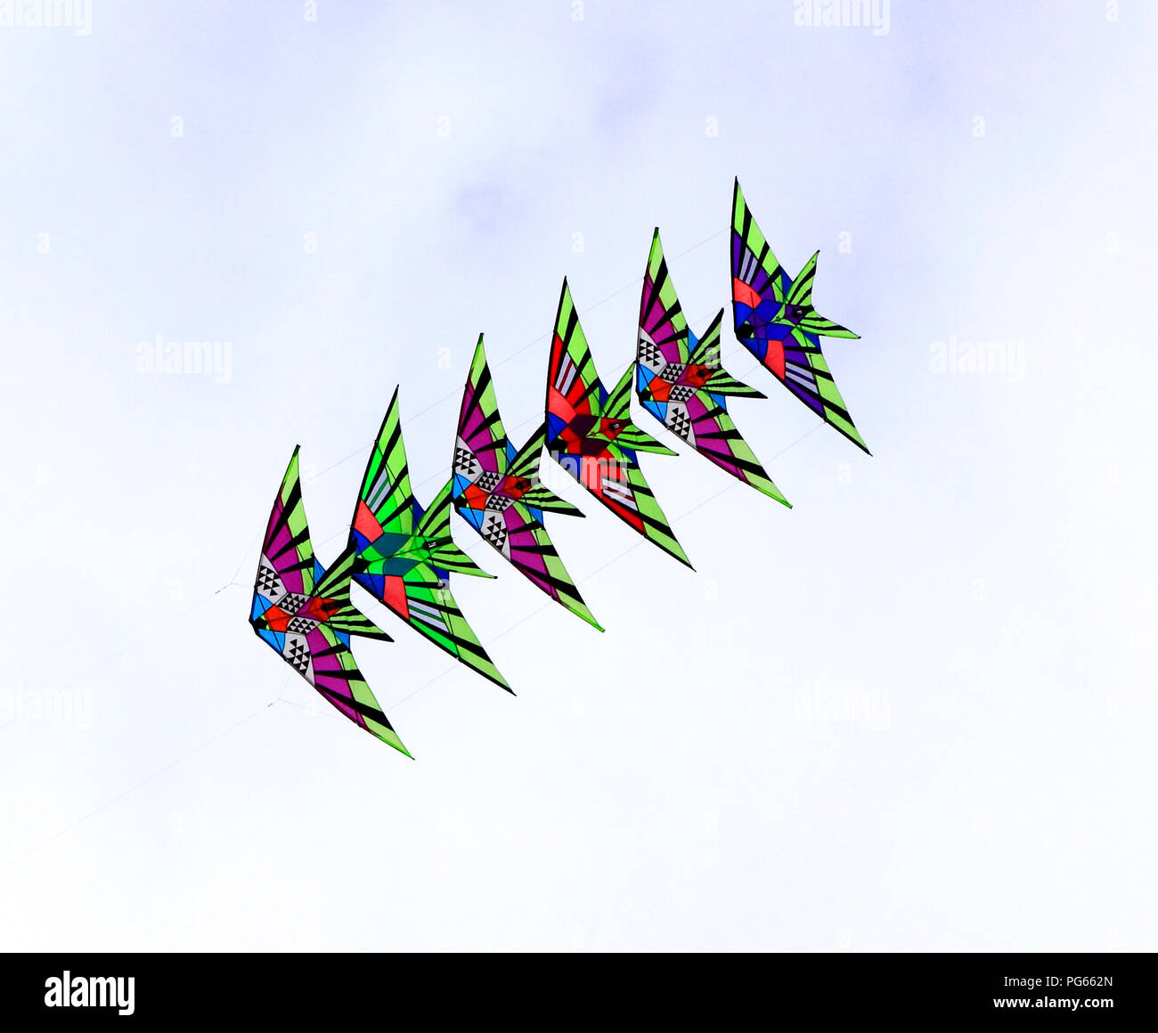 Cerfs-volants, battant, la formation, l'affichage, multi couleurs, couleur, couleurs, ciel, oiseaux Banque D'Images