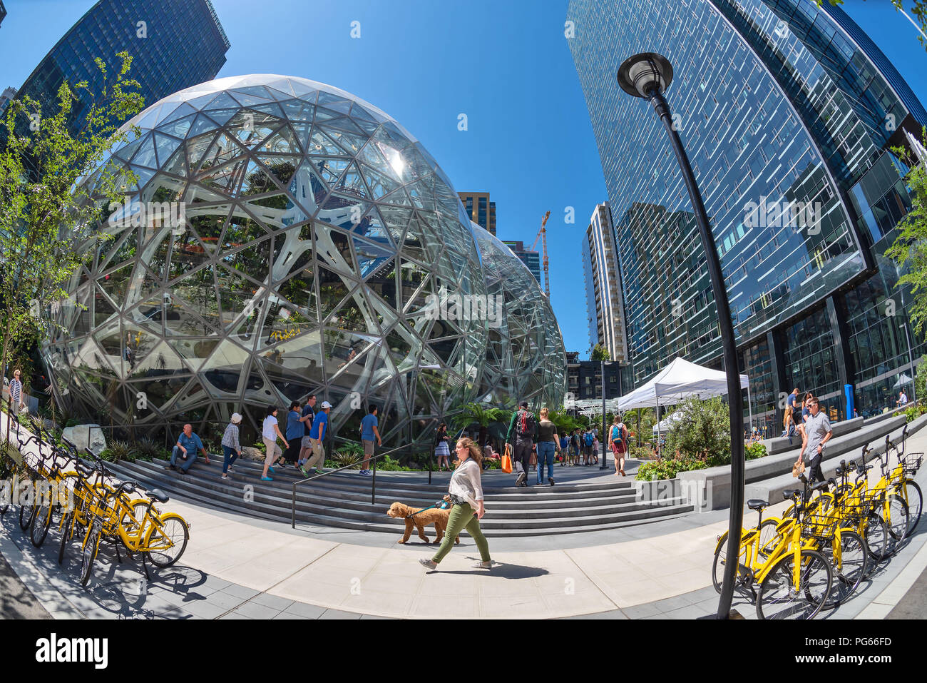 L'Amazone, du siège de sphères d'Amazon, Seattle, Washington, USA Banque D'Images