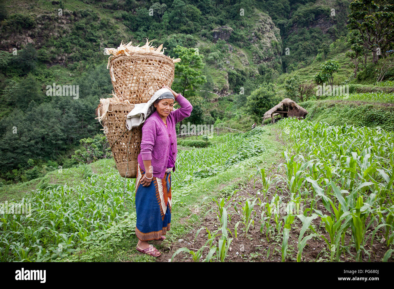 Agriculteur de Landruk, de l'Annapurna trek. Le Népal Banque D'Images