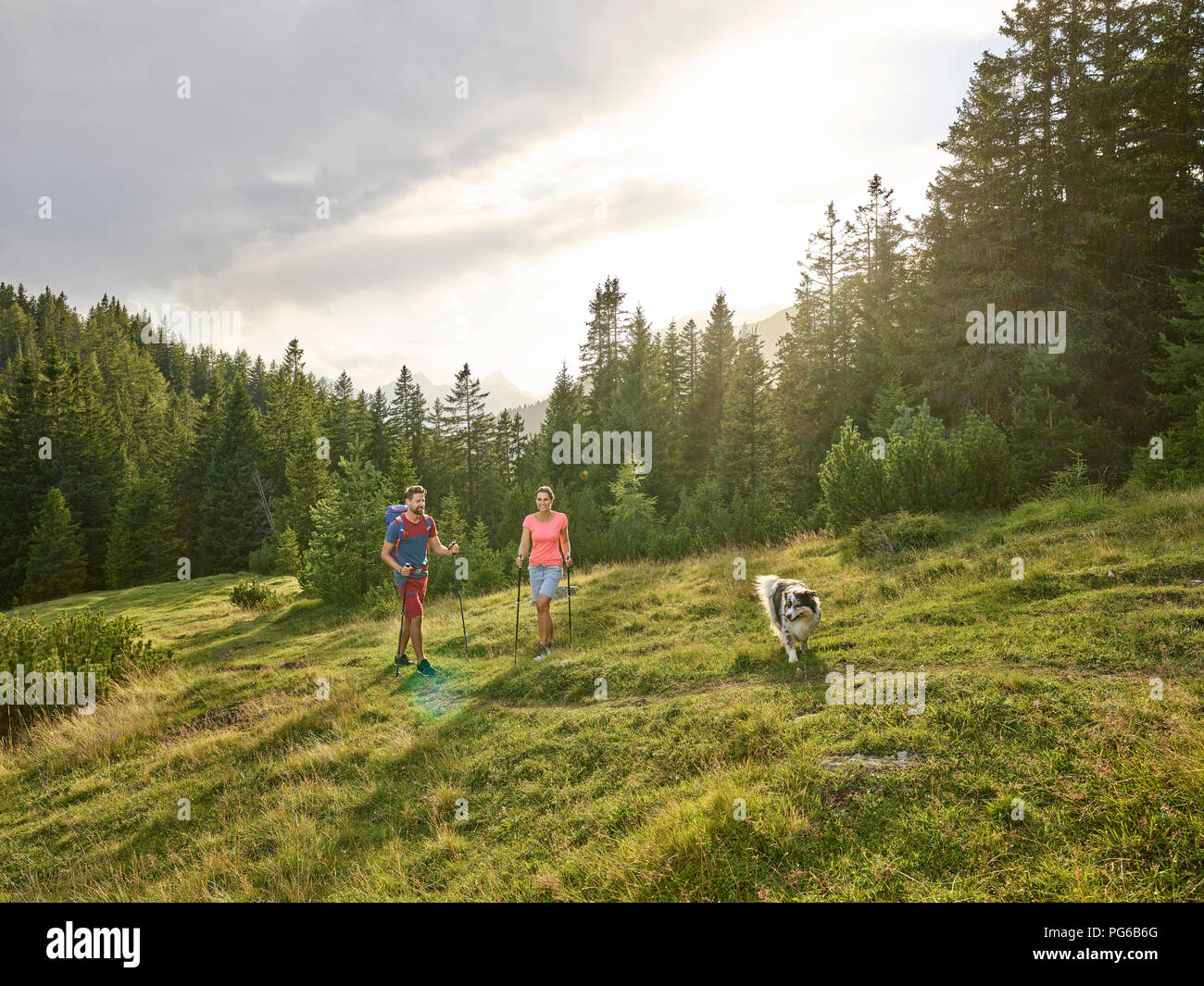 Autriche, Tyrol, Mieming, couple avec chien en randonnée dans un paysage alpin Banque D'Images