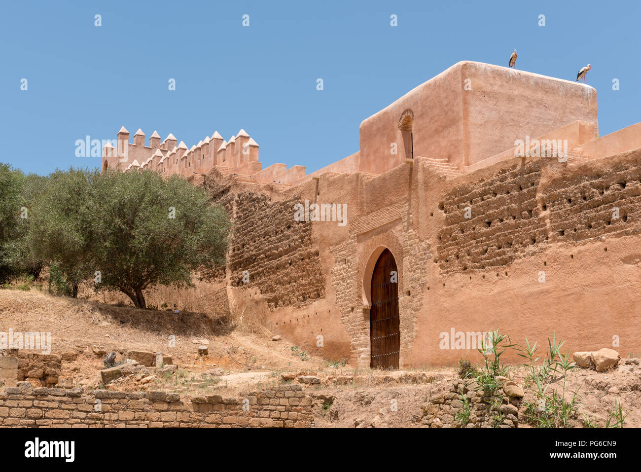 Murs de l'ancienne nécropole Chellah et colonie romaine à Rabat, Maroc Banque D'Images