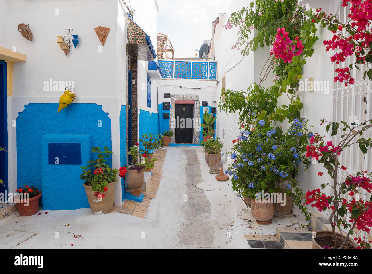 Ruelles de la Kasbah des Oudaia à Rabat, capitale du Maroc. Tous les murs de la médina sont peintes en bleu et blanc Banque D'Images