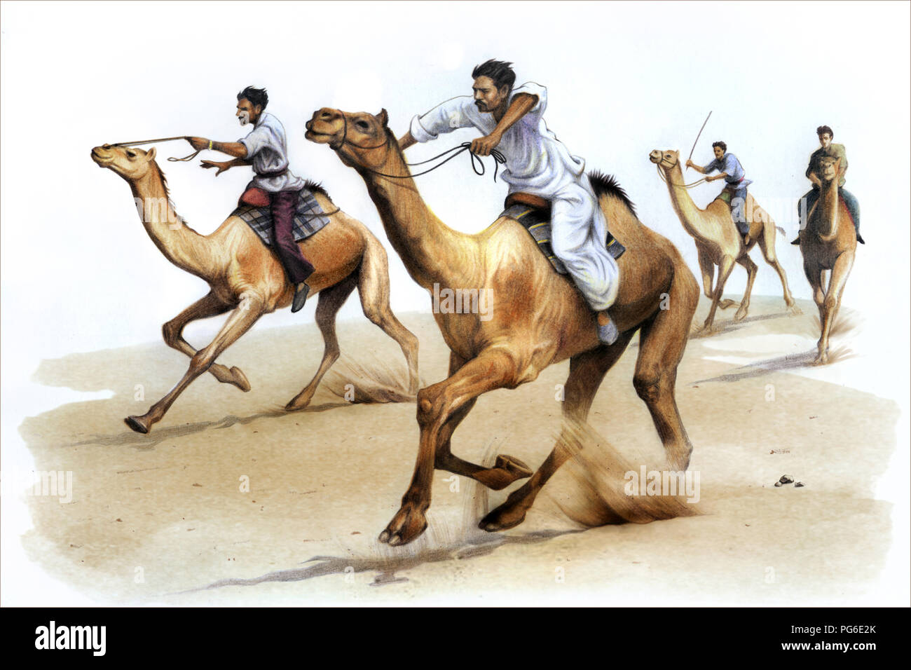 Les courses de chameaux, crayon de couleur Banque D'Images