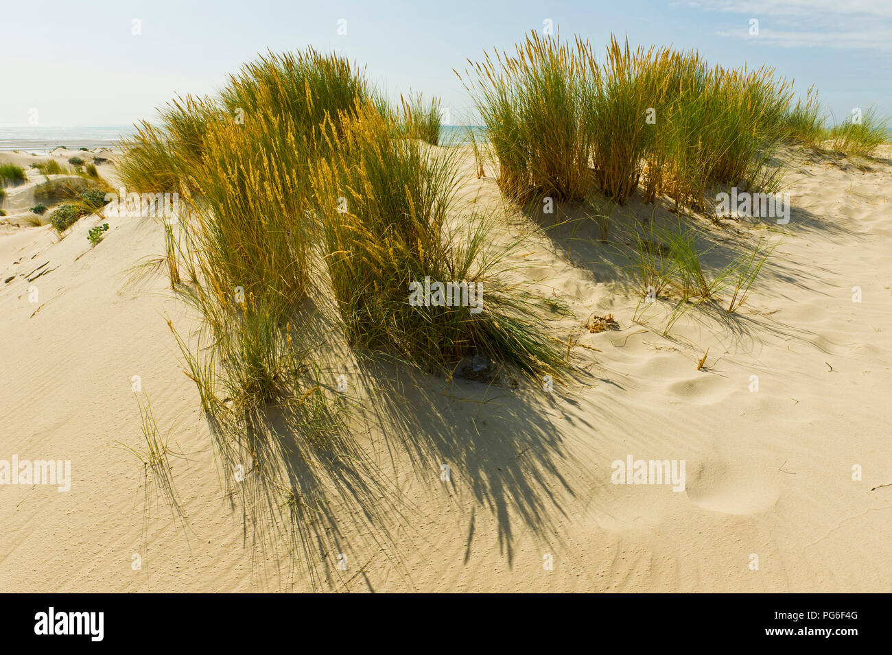 Plage de calais Banque de photographies et d’images à haute résolution ...