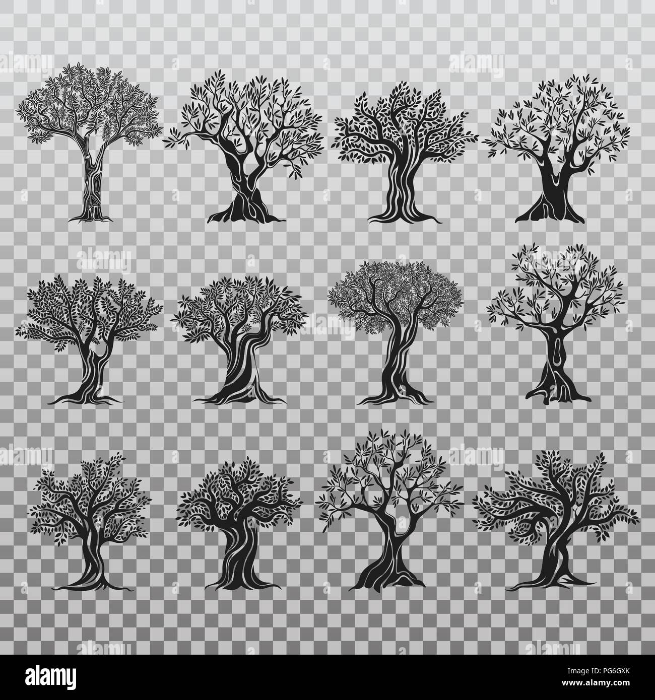 Ensemble d'oliviers isolés d'icônes. Méditerranée antique greek plante pour l'alimentation de fruits et d'huile, de la flore avec le feuillage et berry. Logo de l'agriculture et la nutrition saine, végétarienne, boire et grove banner Illustration de Vecteur