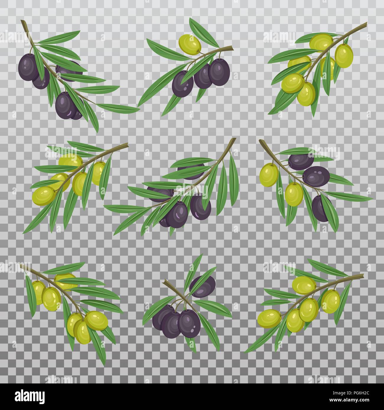 Jeu de lumière sombre et isolé des branches d'olive avec des baies et des feuilles pour l'alimentation végétarienne ou végétalienne, de peinture ou d'huile alimentaire. Noir et jaune sain méditerranéen berry le feuillage. Thème de la Nature Illustration de Vecteur