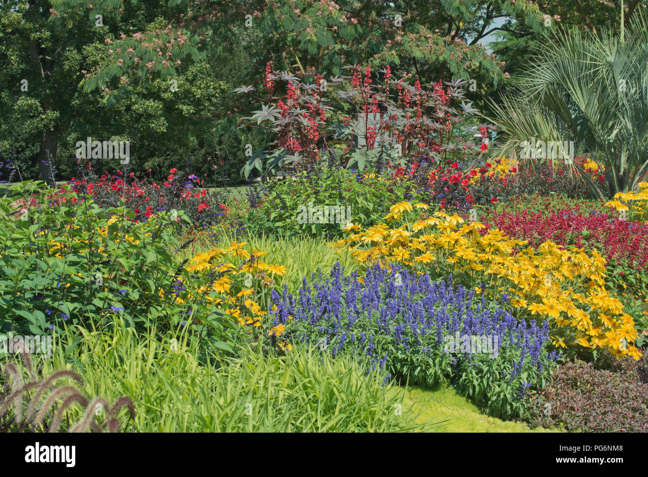 Parterre de fleurs d'été, Luisenpark Mannheim, Rhénanie-Palatinat, Allemagne Banque D'Images