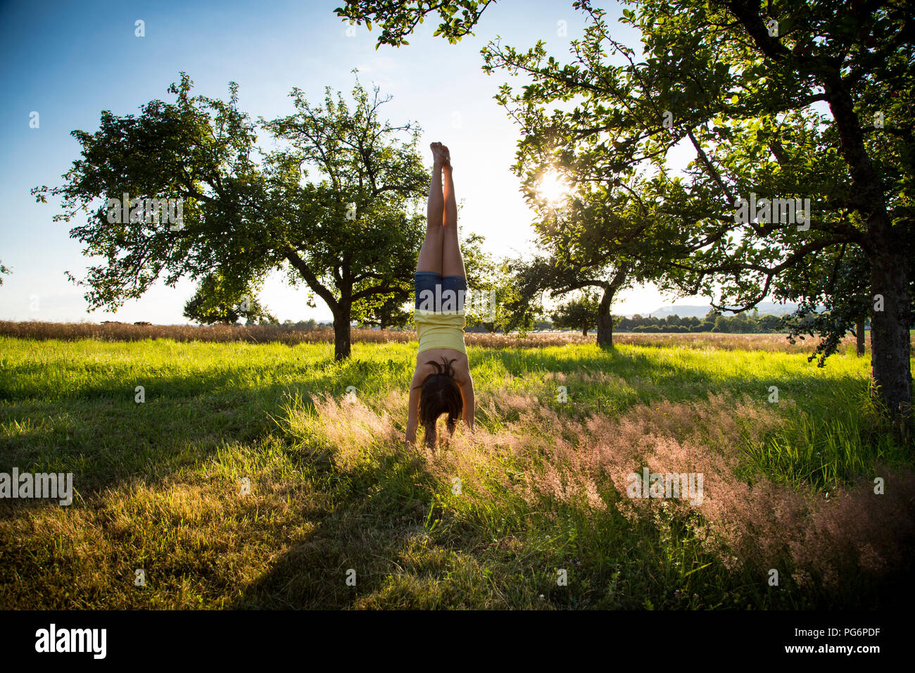 Young Girl doing handstand on meadow au soir d'été Banque D'Images