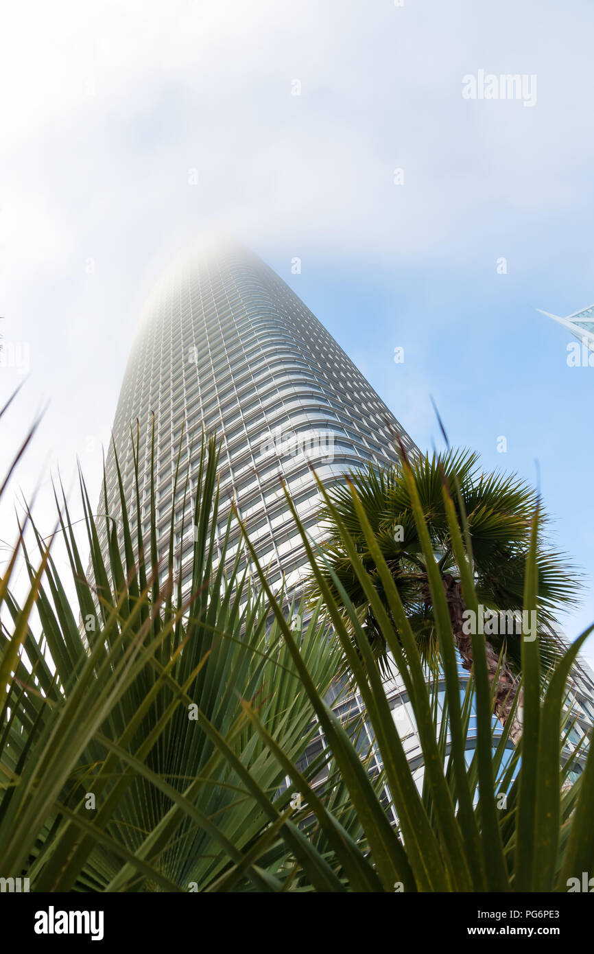 Tour de Salesforce avec brouillard couvre un soir d'été, San Francisco, California, United States. Banque D'Images