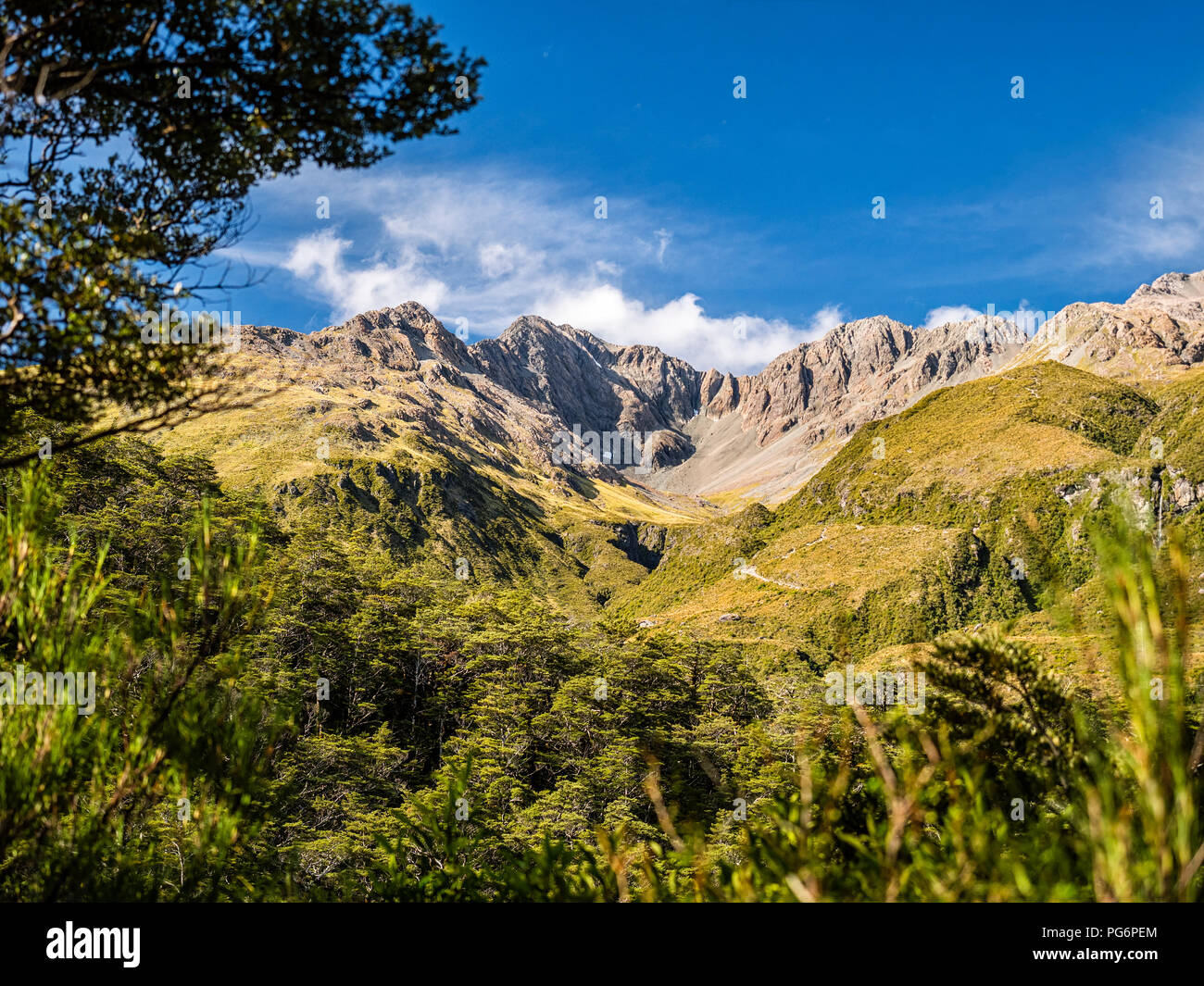 Nouvelle Zélande, île du Sud, région de Canterbury, Arthur's Pass National Park, Arthur's Pass Banque D'Images