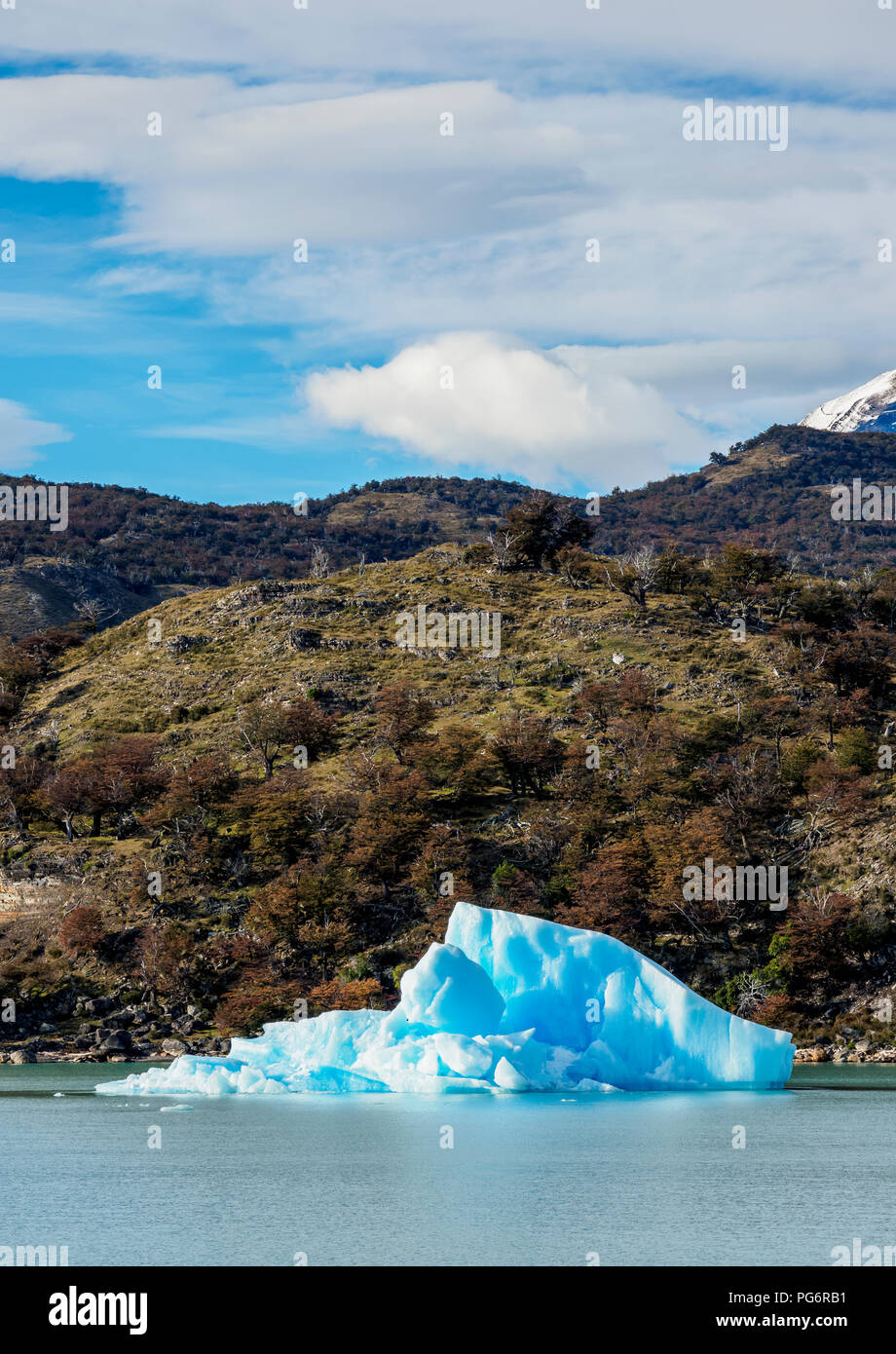 Iceberg sur le lac Argentino, le Parc National Los Glaciares, Province de Santa Cruz, Patagonie, Argentine Banque D'Images