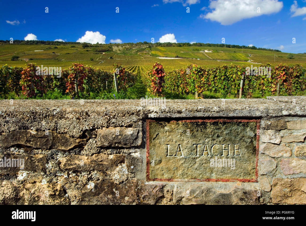 LA TACHE DRC pierre gravée plaque dans mur de la Tache de vignoble Domaine de la Romanée-conti, Vosne Romanée, Côte d'Or, France Banque D'Images