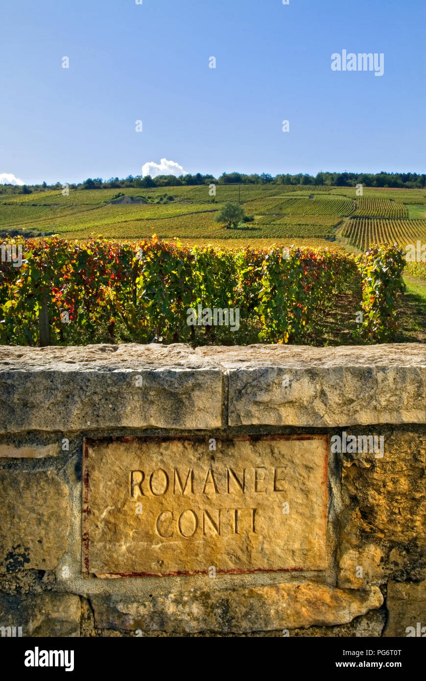 Romanée Conti Vignoble pierre gravée plaque dans mur de RDC historique Domaine de la Romanée-conti Richebourg Bourgogne Côte d'Or France Banque D'Images